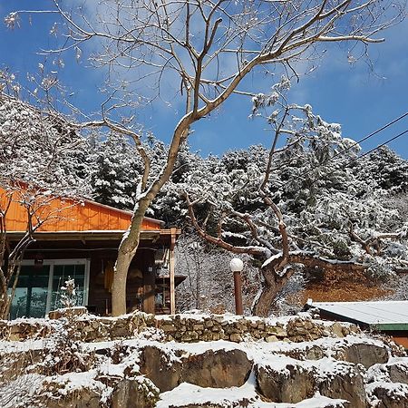 Bluesky Pension Pocheon Ngoại thất bức ảnh