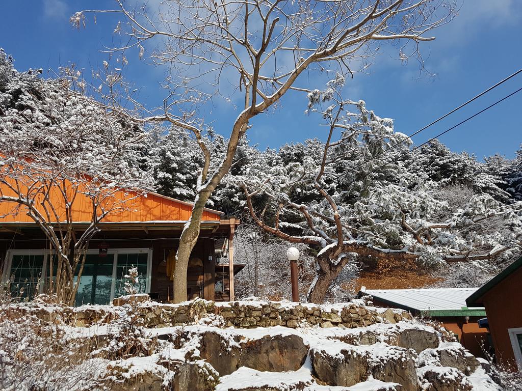 Bluesky Pension Pocheon Ngoại thất bức ảnh