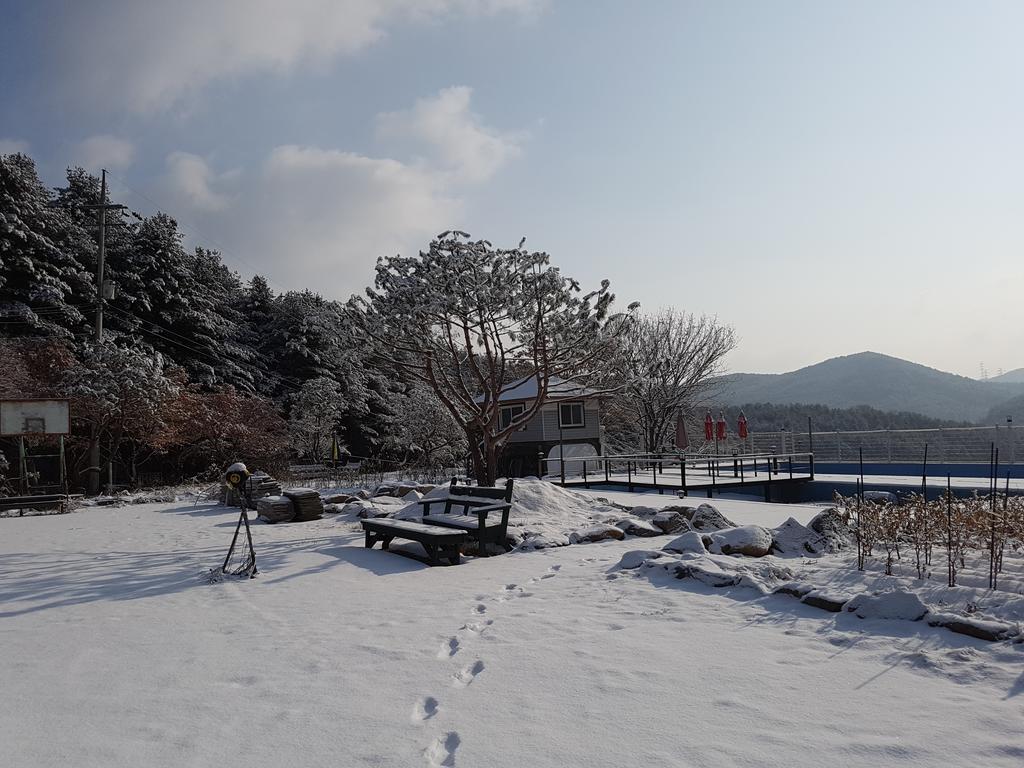 Bluesky Pension Pocheon Ngoại thất bức ảnh