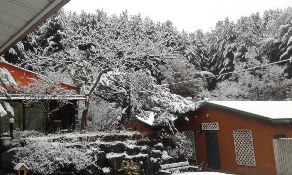 Bluesky Pension Pocheon Ngoại thất bức ảnh